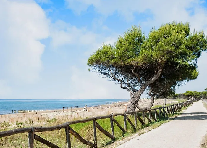 With Outdoor Patio And Fireplace