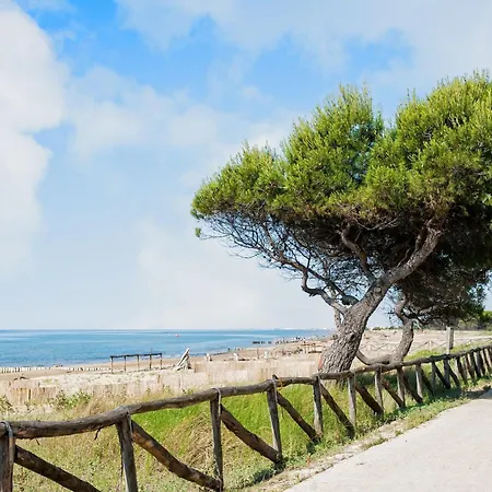 With Outdoor Patio And Fireplace